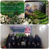 دیدار خانواده معظم شهدا